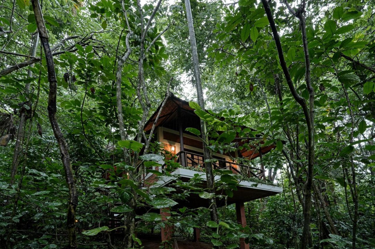 Coffee Acres Resort Kalpetta Exterior photo