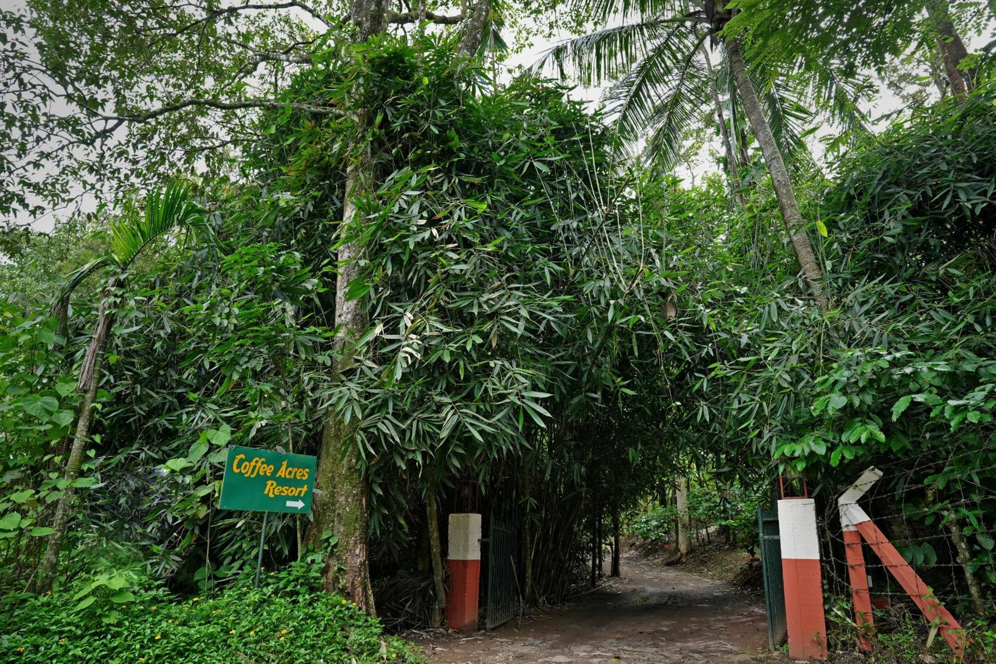 Coffee Acres Resort Kalpetta Exterior photo